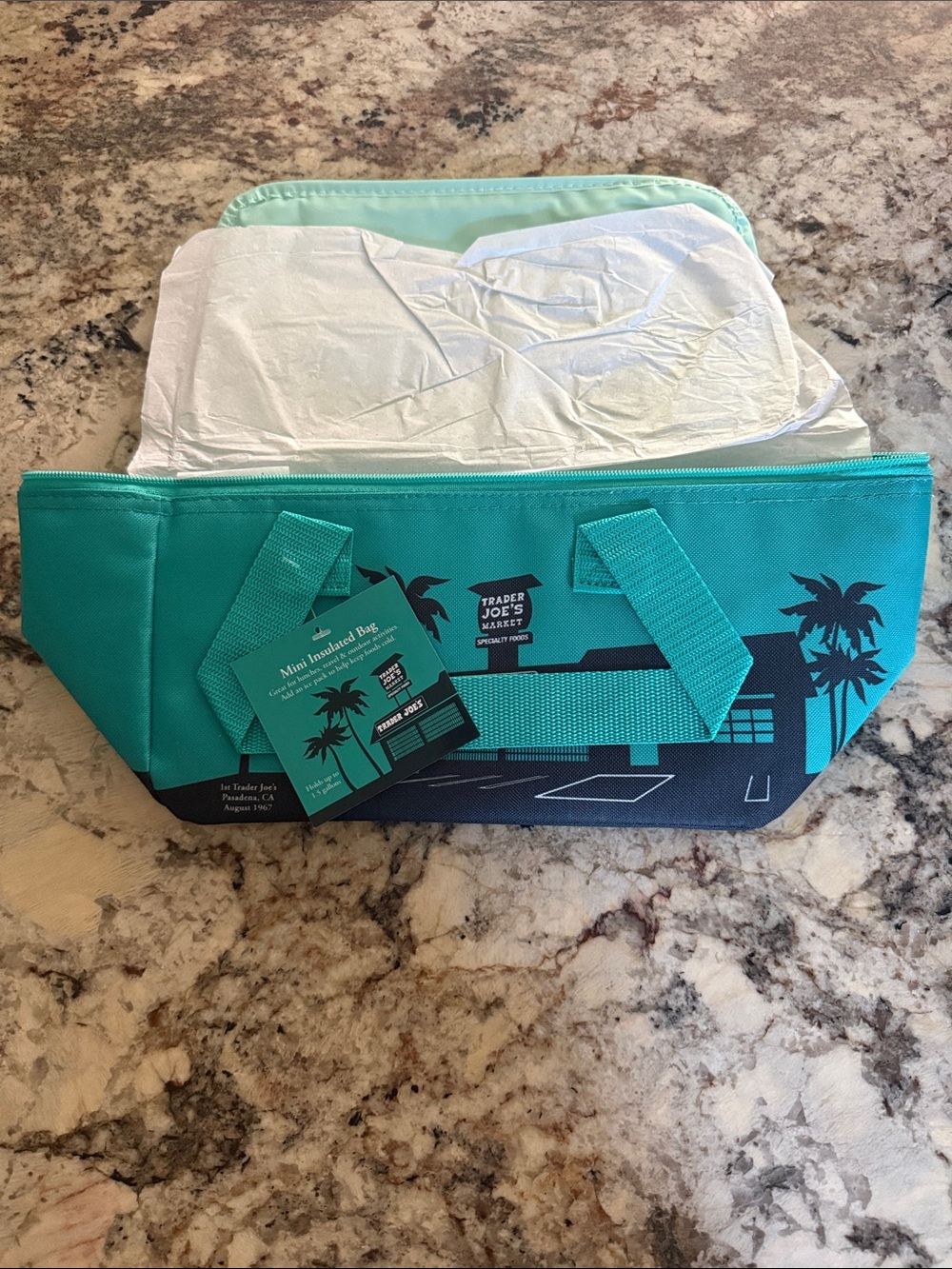 Trader Joe's Teal & Black Mini Insulated Tote NWT